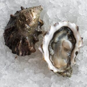 Ostras Mare Ostrum