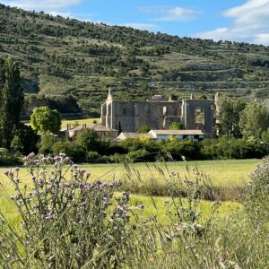 Viaje a Castrojeriz, joya escondida del Camino de Santiago