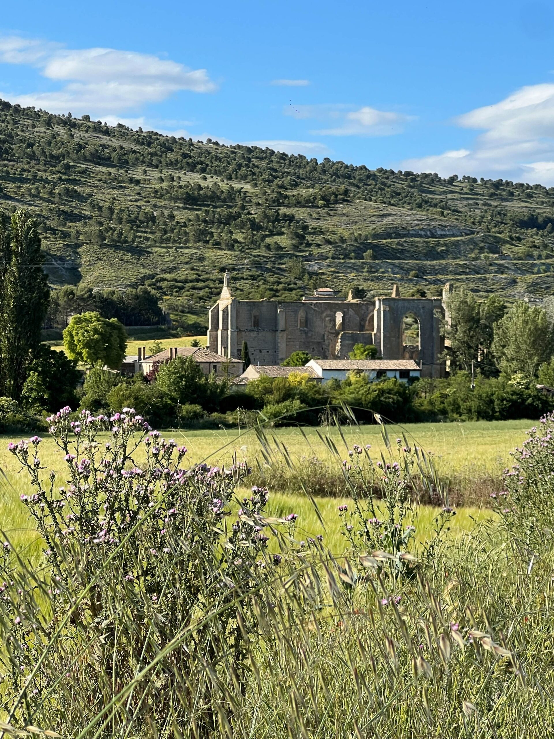 Viaje a Castrojeriz, joya escondida del Camino de Santiago