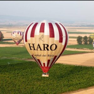 Duerme en un gran palacio y sobrevuela en globo los viñedos de La Rioja